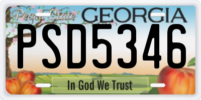 GA license plate PSD5346