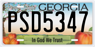 GA license plate PSD5347