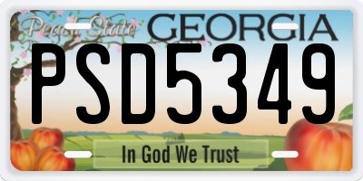 GA license plate PSD5349