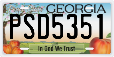 GA license plate PSD5351