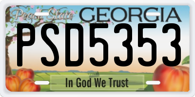 GA license plate PSD5353