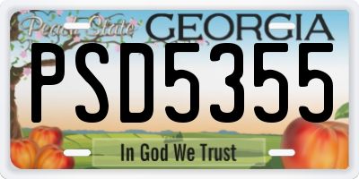 GA license plate PSD5355