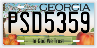 GA license plate PSD5359