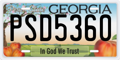 GA license plate PSD5360