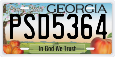 GA license plate PSD5364