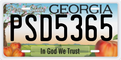 GA license plate PSD5365