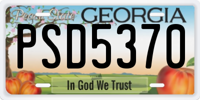 GA license plate PSD5370