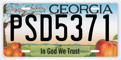 GA license plate PSD5371
