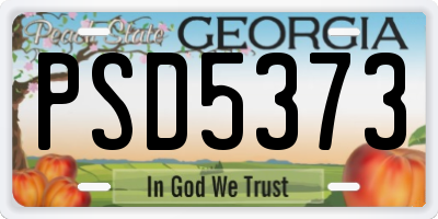 GA license plate PSD5373
