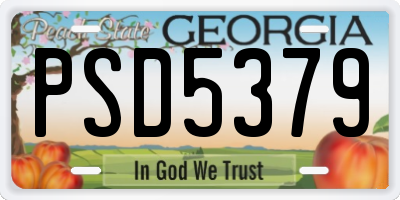 GA license plate PSD5379