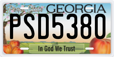 GA license plate PSD5380