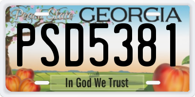 GA license plate PSD5381