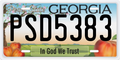 GA license plate PSD5383