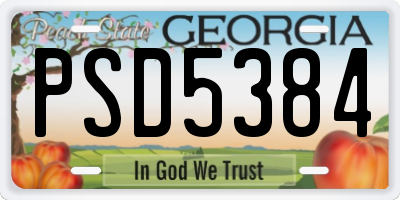 GA license plate PSD5384