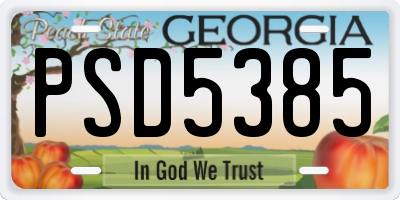 GA license plate PSD5385