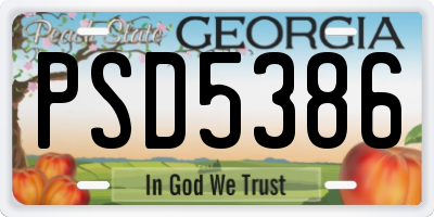 GA license plate PSD5386