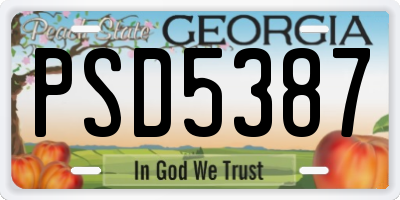 GA license plate PSD5387