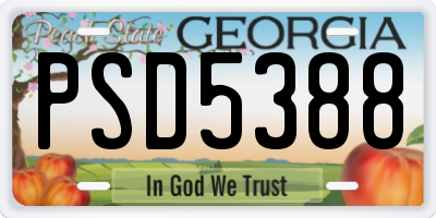 GA license plate PSD5388
