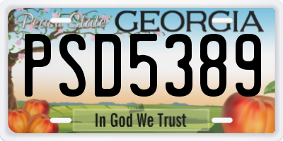 GA license plate PSD5389