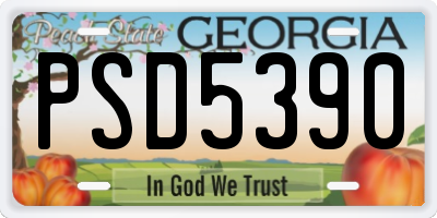 GA license plate PSD5390