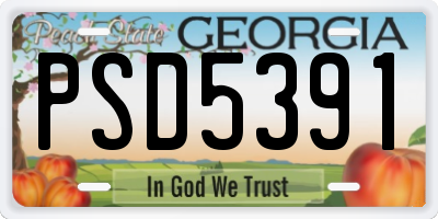 GA license plate PSD5391