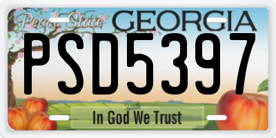 GA license plate PSD5397