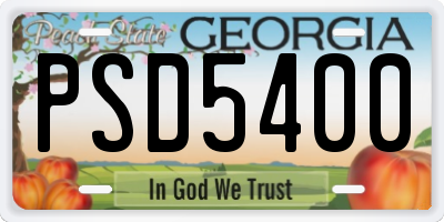 GA license plate PSD5400