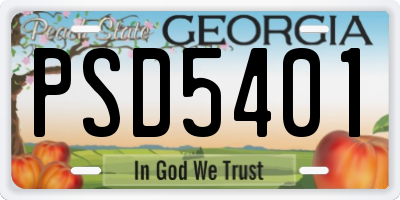 GA license plate PSD5401