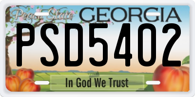 GA license plate PSD5402