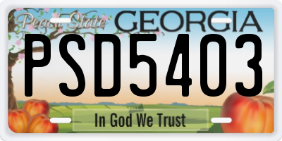 GA license plate PSD5403