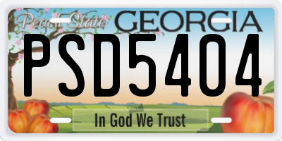 GA license plate PSD5404