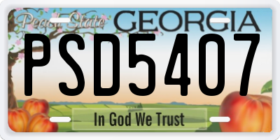 GA license plate PSD5407