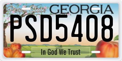 GA license plate PSD5408