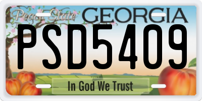 GA license plate PSD5409