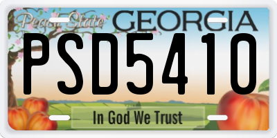 GA license plate PSD5410