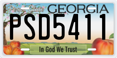 GA license plate PSD5411