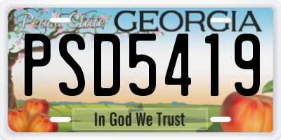 GA license plate PSD5419