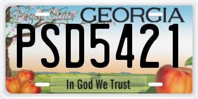 GA license plate PSD5421