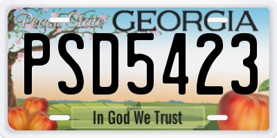 GA license plate PSD5423