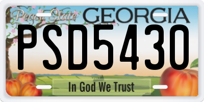 GA license plate PSD5430