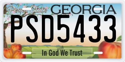 GA license plate PSD5433