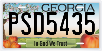 GA license plate PSD5435