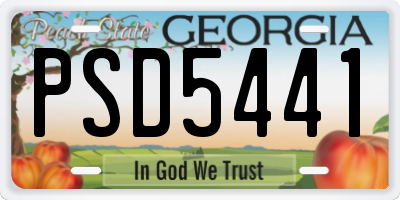 GA license plate PSD5441