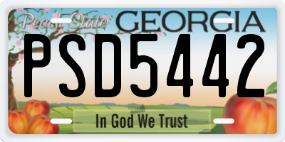 GA license plate PSD5442