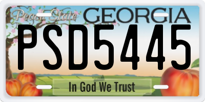 GA license plate PSD5445