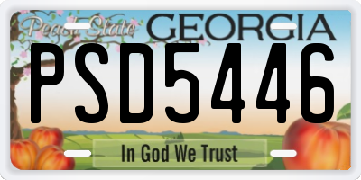 GA license plate PSD5446
