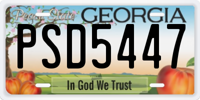 GA license plate PSD5447