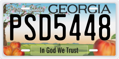 GA license plate PSD5448