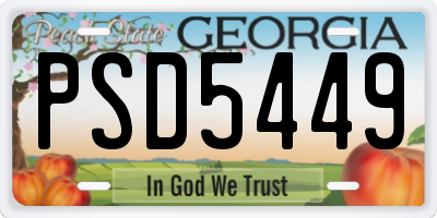 GA license plate PSD5449