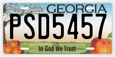 GA license plate PSD5457
